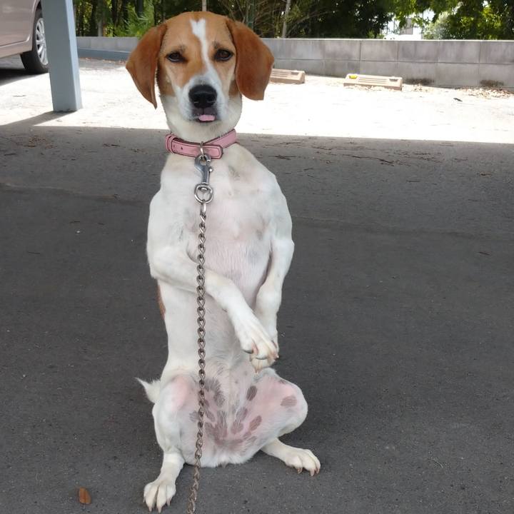 Fb3b597d 5edc 4baa 8e76 f3df4393d791 1595904314700