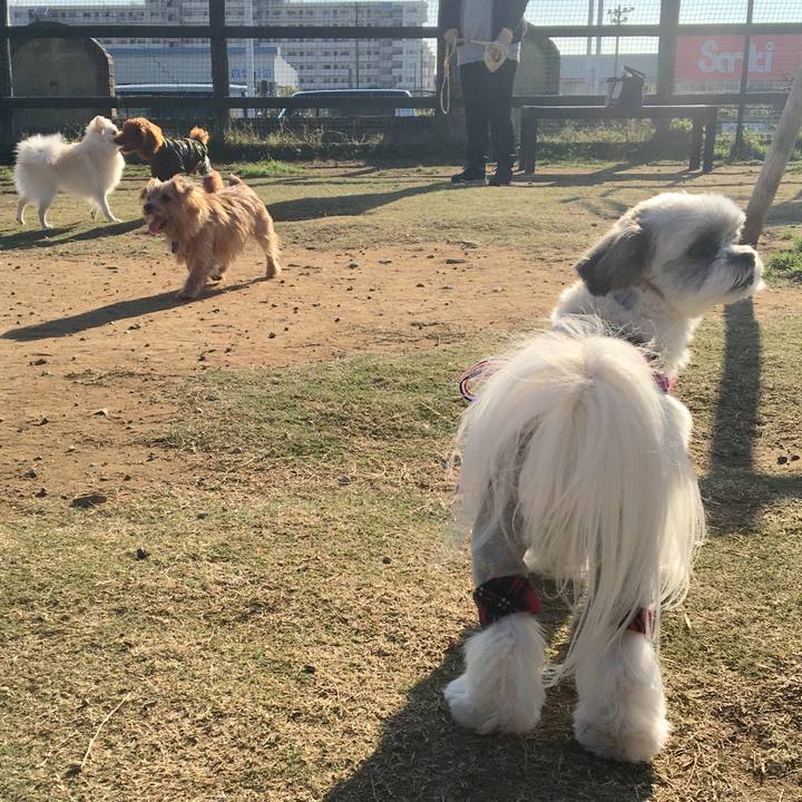 Fb3b5dee 96ab 4d37 9606 645ea94a2fe9 1542861477211