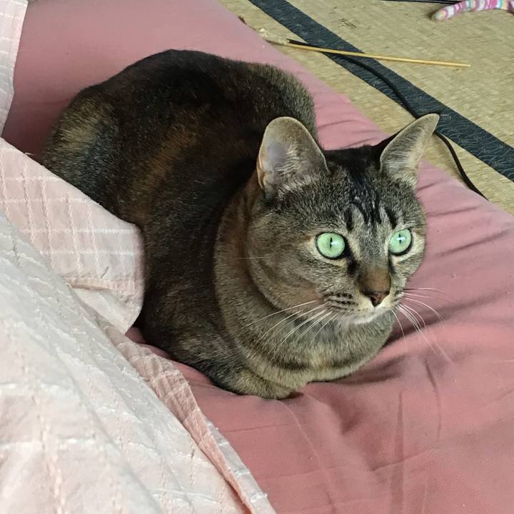 Fb3b8bd1 dafb 479a 9220 19b7ba47e67e 1672624067538