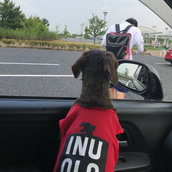 Fb3b9d0f d141 4f17 a3d8 1706263d89b5 1528493742890