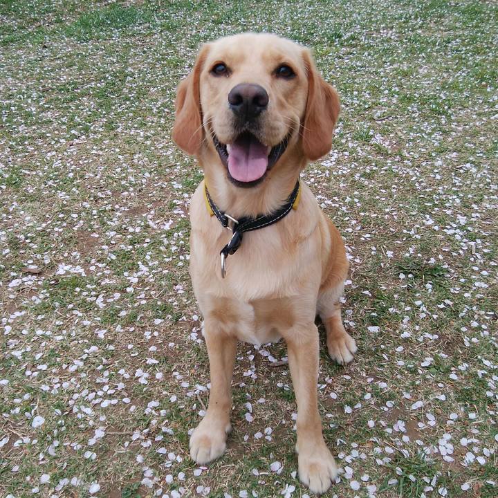 Fb3bdffd d3d7 4432 8324 4ecf83bab72b 1522711239096