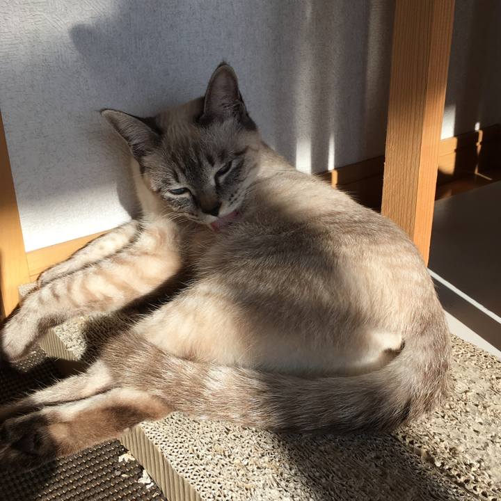 Fb3c15de b83c 4929 b318 06878c115714 1547877409710