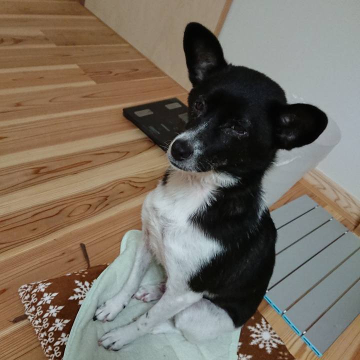 Fb3c2765 056c 4843 b0d4 d9f2635741d5 1603509595266