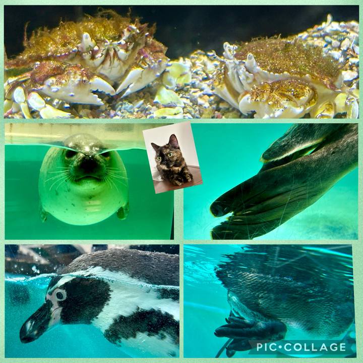 Fb3c3873 99bf 4a56 aa97 bebf9dbe1ad0 1762252278918