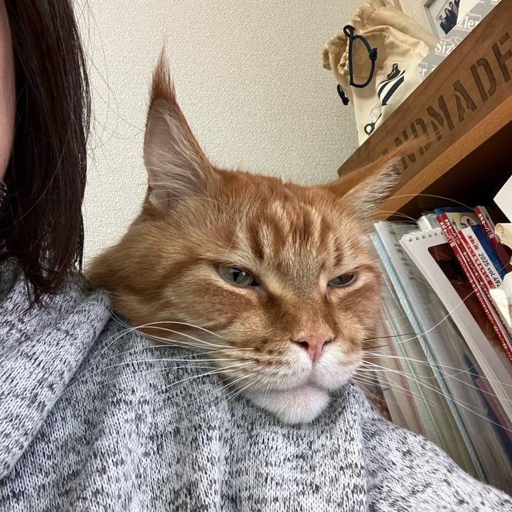 Fb3c4040 6e4a 4eb9 9ce4 9b28a596a27f 1769263672967