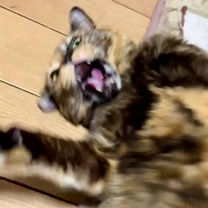 Fb3c4ac4 69c8 4622 b67c 1d85710a2be5 1736423179641