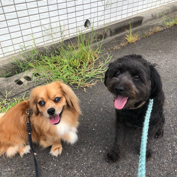 Fb3c4de2 38b8 4349 8b68 2844f3775a38 1534025553112