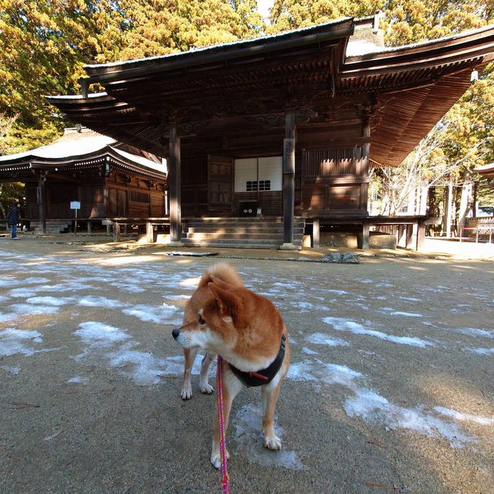 Fb3c6570 b939 46b5 b841 8abef2f5b7ab 1767090567970