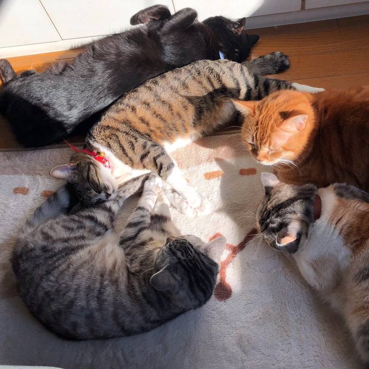 Fb3c9280 495d 4d21 924c d4051026374c 1550330766829