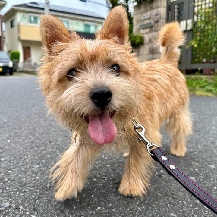 Fb3cd03f 3c4c 4be1 9966 275d6b746898 1723015790586