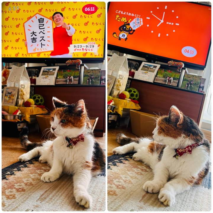 Fb3d27fd 0be6 4d9b bc0f 660f461dfde8 1727044253973