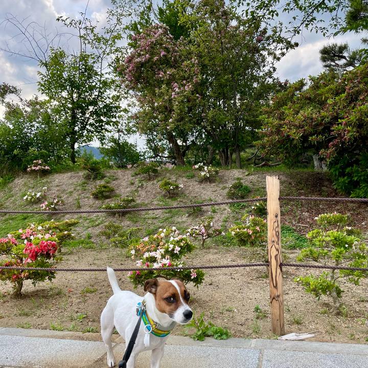 Fb3d52d0 89cc 4281 a230 37192aef3551 1654162860344