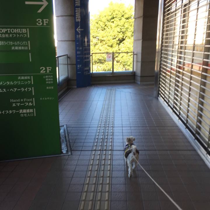 Fb3d5e01 095e 480b b26e f6ca57a5ee6a 1514892719459