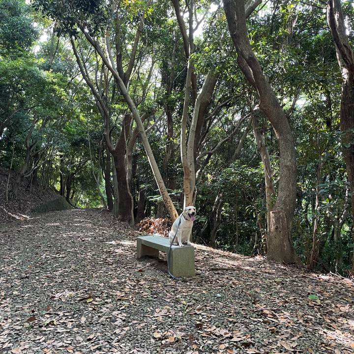 Fb3d76a0 31b9 4c1c 9eb6 75bc49637e29 1720228330185