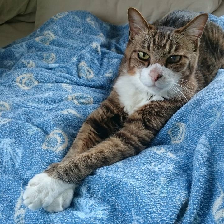 Fb3d8f21 6cce 4842 8997 1f9b4107de1c 1545473800459