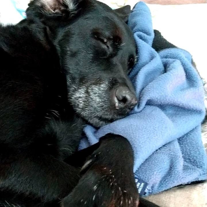 Fb3d9d2b d331 4eca 921b 8be3fdcc550f 1691804470620