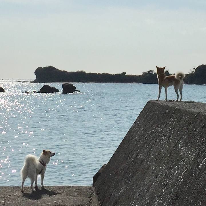 Fb3dc31d c0be 436e 8093 a553b1582d19 1512970759829