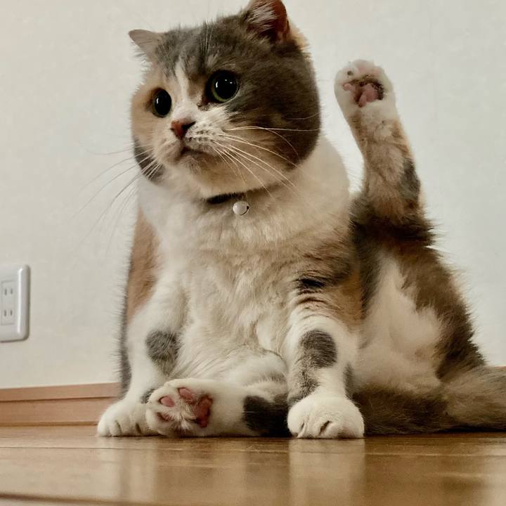 Fb3e232d 7af8 43eb bb58 d03391bfabe6 1640907815090