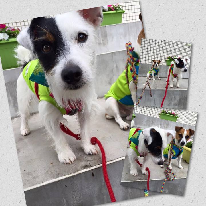 Fb3e279e 9b13 4929 ac91 db57f45af7ae 1663460577176