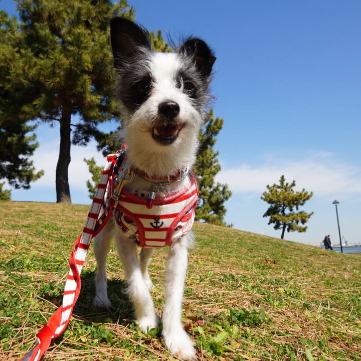 Fb3e5b3f 07dd 405a 838c 9847d34ce212 1519991773181