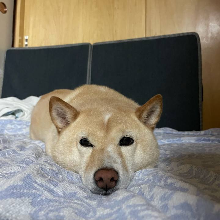 Fb3e63c4 735d 4d31 b849 26943ef44759 1720012914132