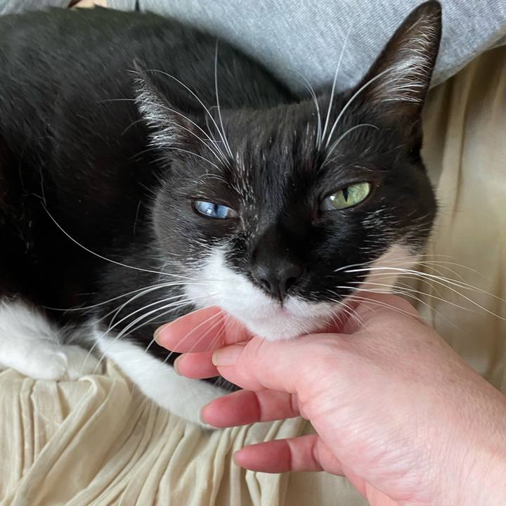 Fb3e69b8 2f8d 4c03 9d3f 1be1795aed3b 1697626794480