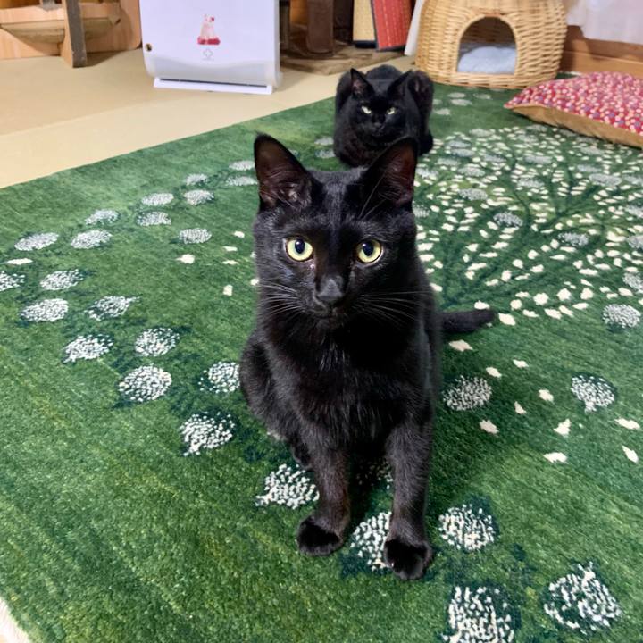 Fb3e819e 9a4c 4d10 a3dd ea1660e9a321 1657703120811