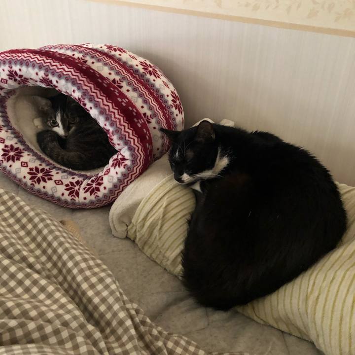 Fb3e898b df93 4e29 afcc 3189b134b1b3 1550684411936