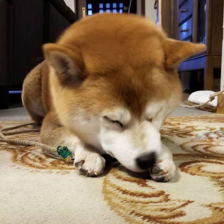 Fb3e9557 e0b6 442d b8a9 439a436e4b37 1574287643568