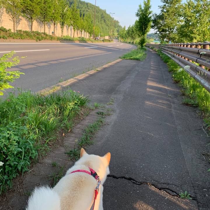 Fb3eb56f 1dfe 45af 9825 c1cb99a93c4d 1564695286504