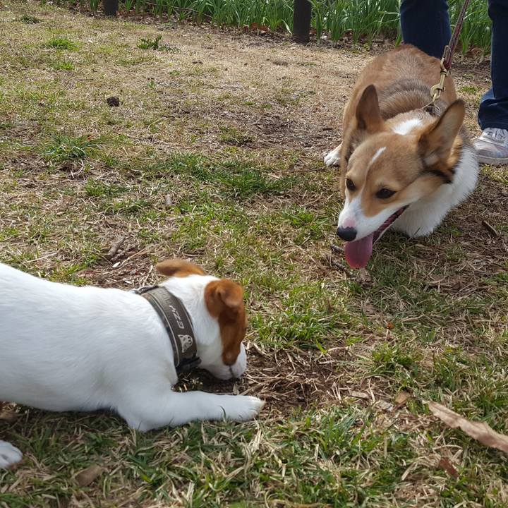 Fb3ebd61 288d 4e53 aa7b f347235261e3 1552185414509