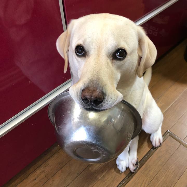 Fb3edeae 2dfc 49f6 91ab aa3cff3106a5 1572736052485