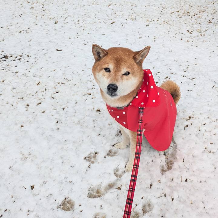 Fb3eff6b 049e 451d 95b2 b8cbc0fe177b 1740989037650