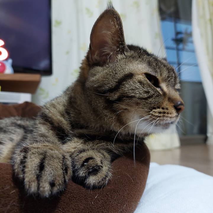 Fb3f00ff cf87 465c 847a 1f3a91105b74 1644096295667