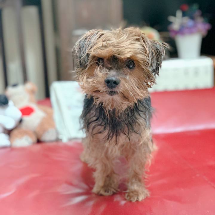 Fb3f08fa ec12 4ba0 b9ad 00c91ec89ce6 1625552811545