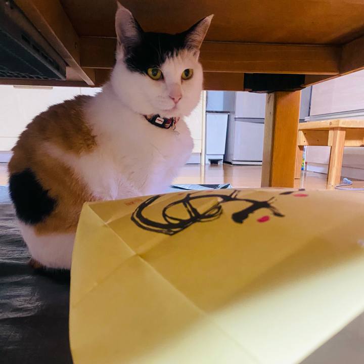 Fb3f320d 84eb 4d0c 85cd 4cde355bf672 1652392059215