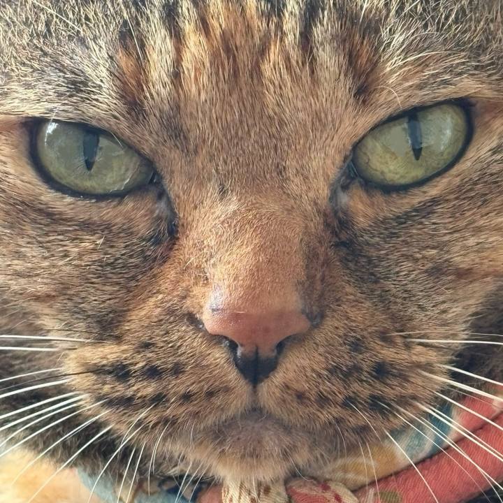 Fb3f482f 17f1 4051 94c1 3d946744fd68 1724728177561