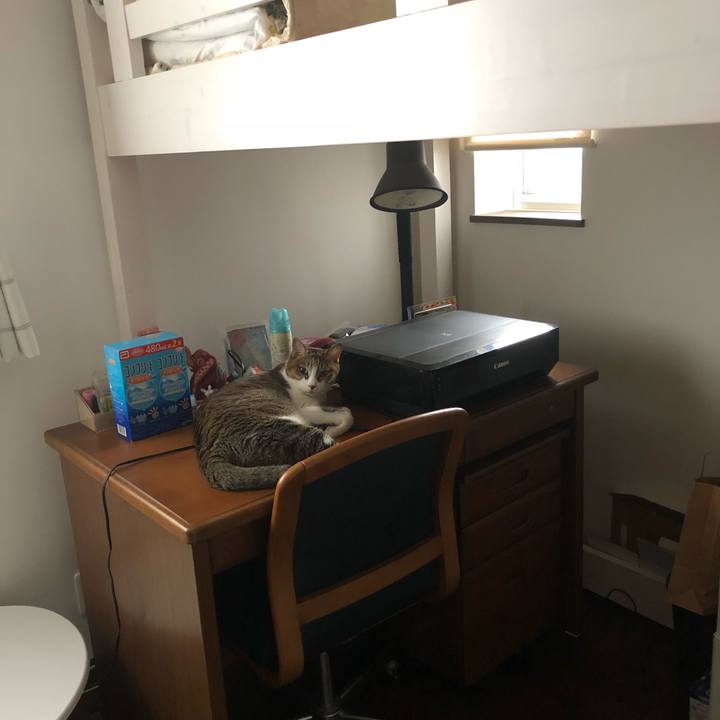 Fb3f53a9 ef5b 4838 90ba 06ac809f37a3 1536923383594