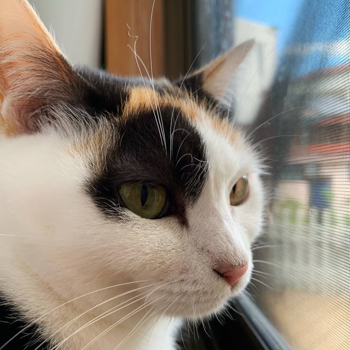 Fb3f9652 7e2a 4129 b813 975a4ed6341f 1545097120197