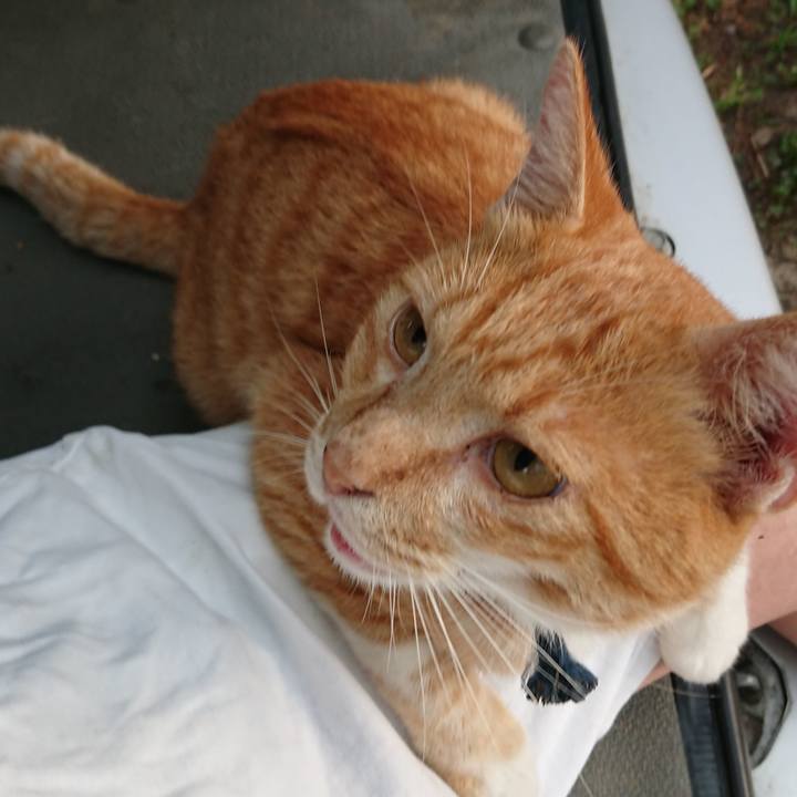 Fb3fcb6a 6e3c 46ed bdb7 e9fea1094d16 1566247631720