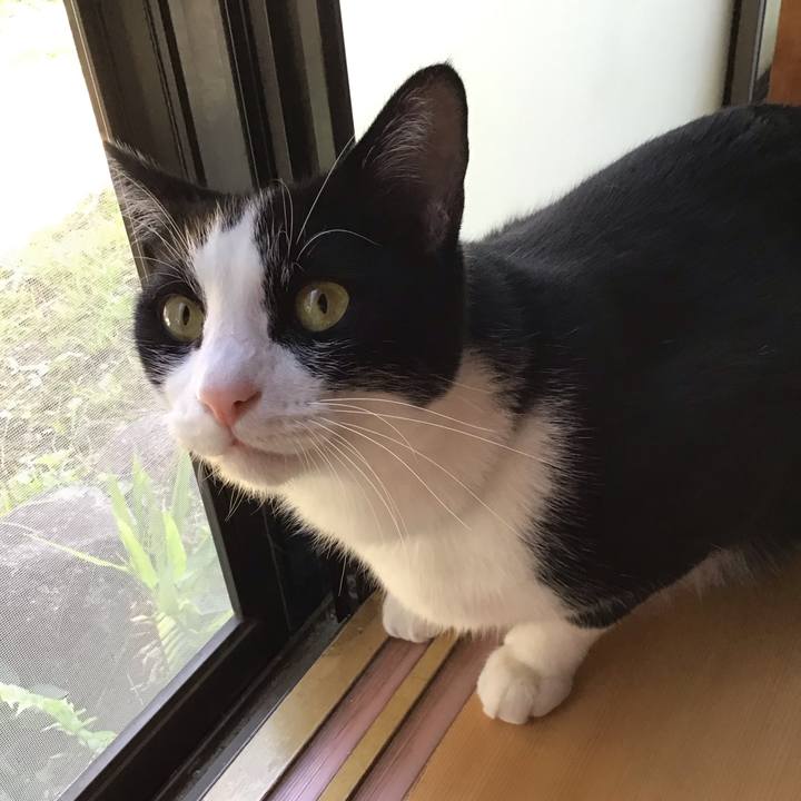 Fb3fd814 55d4 4173 b538 65c119881808 1696243231659