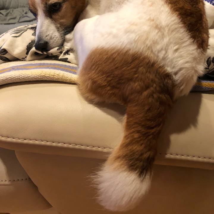 Fb3ffda7 987f 4cd8 b33b 6ba9f97a3113 1526390037338