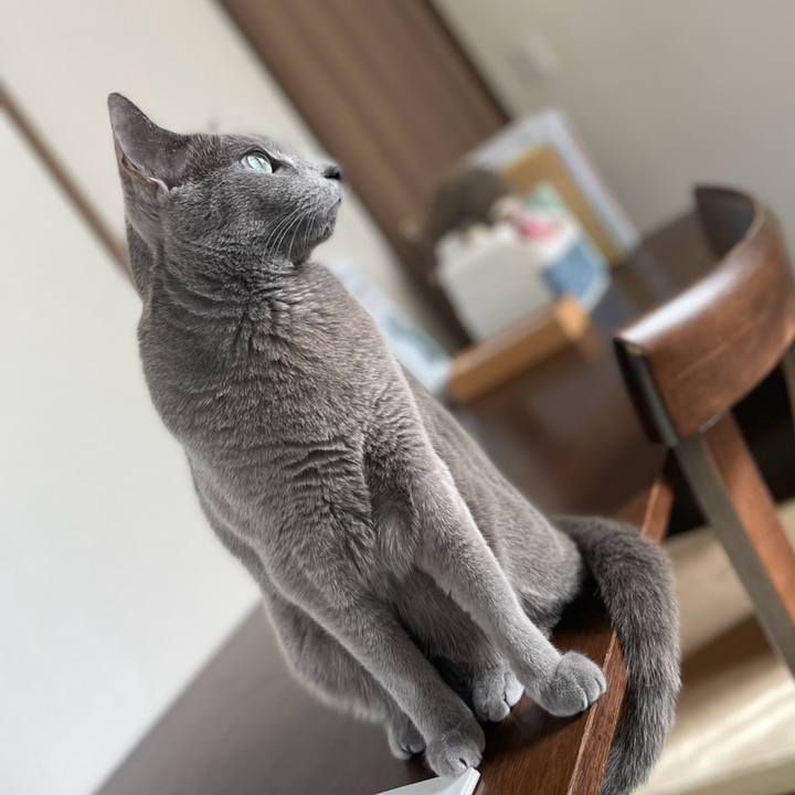 Fb405c51 bd15 45b1 a312 e753238ce0a6 1737167741281