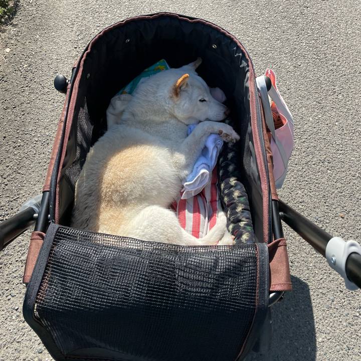 Fb408317 964a 40aa b531 b84e4e348139 1650203901858