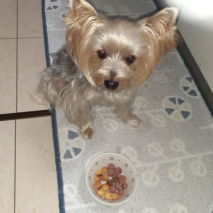 Fb409cf0 599a 4c0a 808b b7b0a16e193a 1699443332154