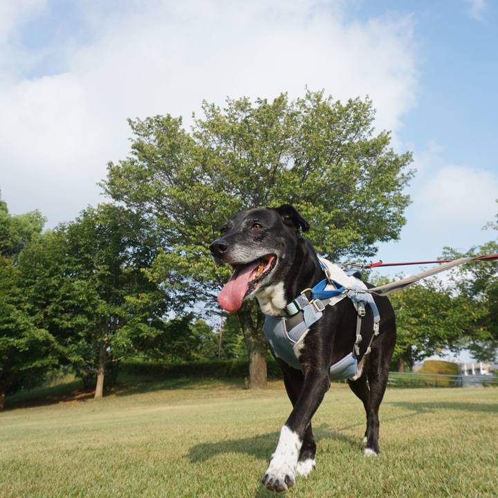 Fb40a6d5 4ae6 4dbb 8dbe 2ab64750315f 1756175376947