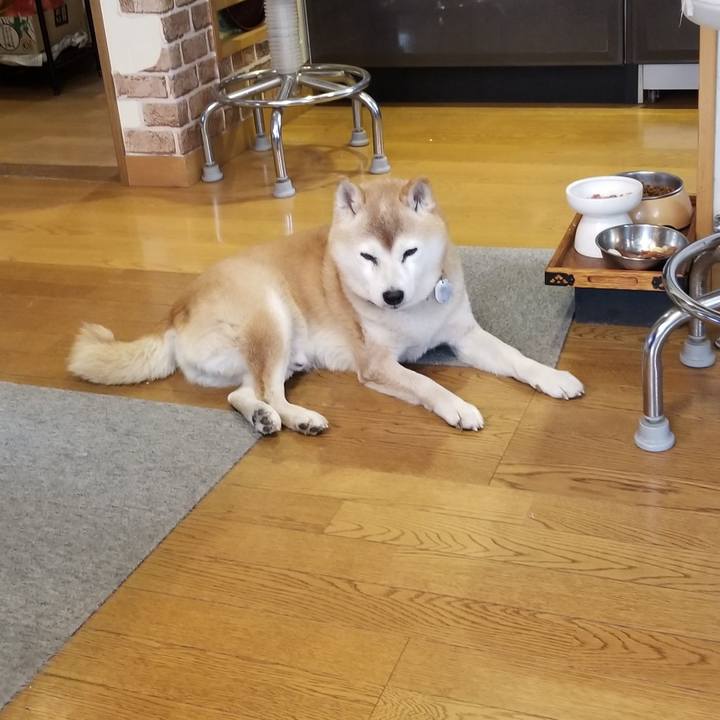 Fb40ab24 bc59 4380 bbf3 a8621c63f179 1735256654607