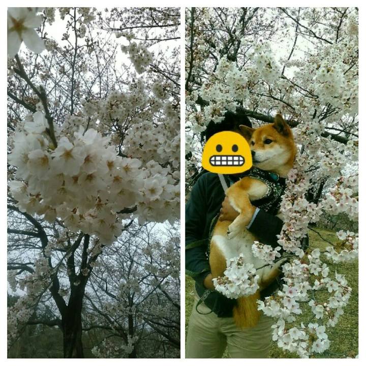 Fb40b524 74de 4aa9 a630 e1b3a2f7e82c 1554043686637