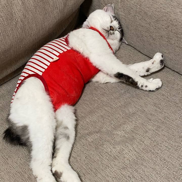 Fb40cf89 e82f 49a9 8476 070be0697646 1588780641396