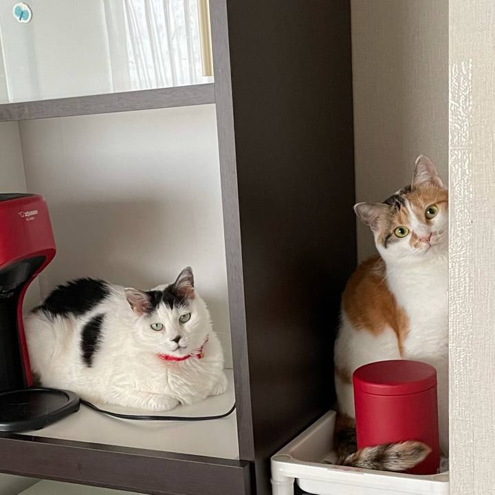 Fb40e377 b85b 4e83 9962 cdae807a9c93 1621670514966